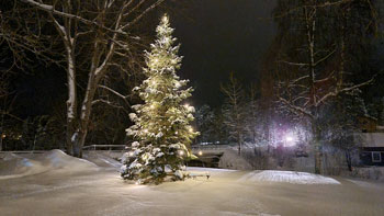 Jul i Olofsfors